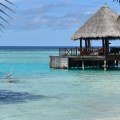 Die Malediven