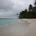 DSCN0134