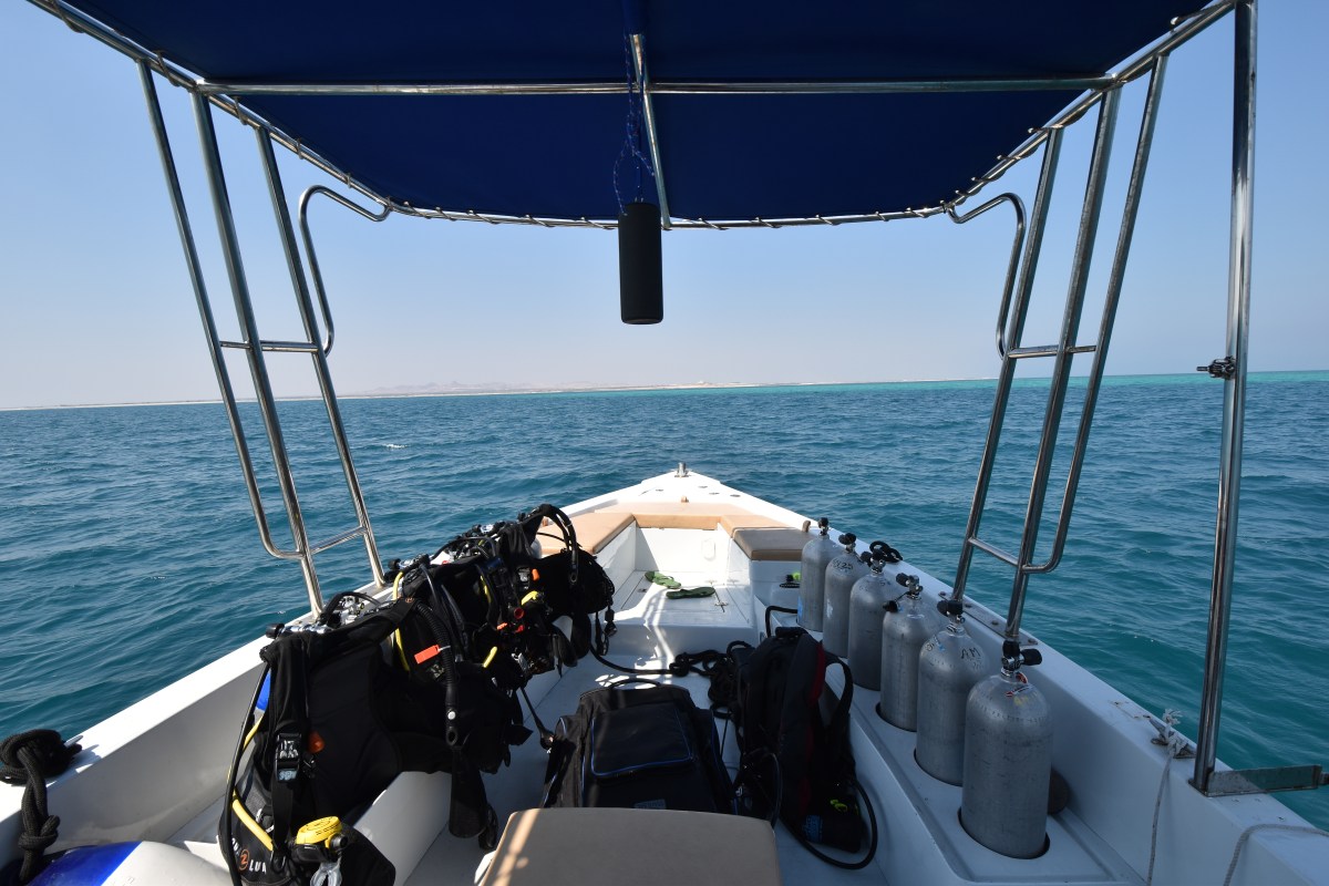 Tauchen bei Sir Bani Yas Island