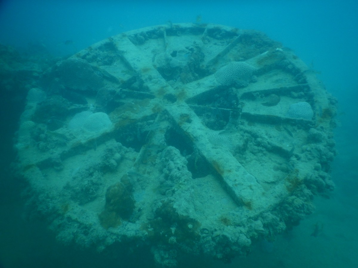 Schiffswrack vor Sir Bani Yas Island