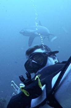 10600360_10207690816621071_1884998687910869516_n