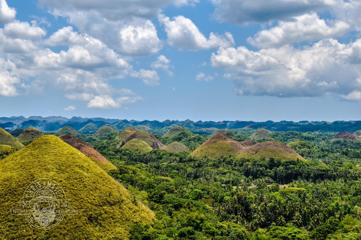 Chocolate Hills