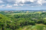 Wälder von Bohol