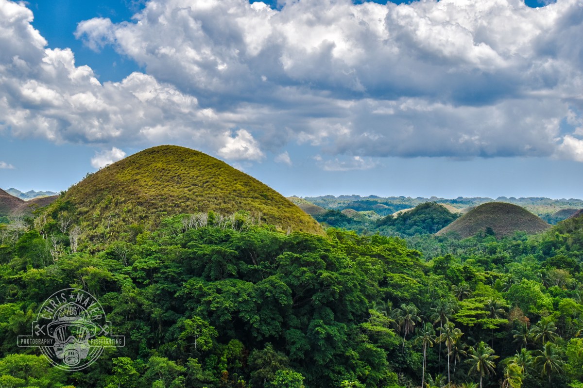 Chocolate Hills